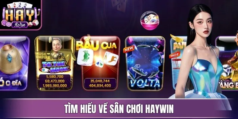 Tìm hiểu về sân chơi Haywin