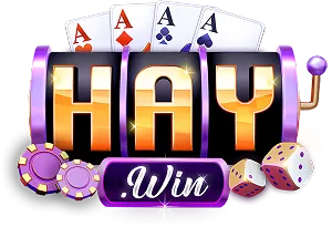 haywin.mex.com
