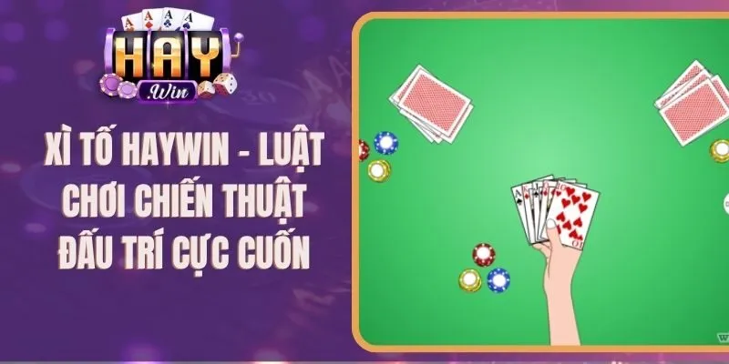 Xì Tố Haywin - Luật Chơi Chiến Thuật Đấu Trí Cực Cuốn